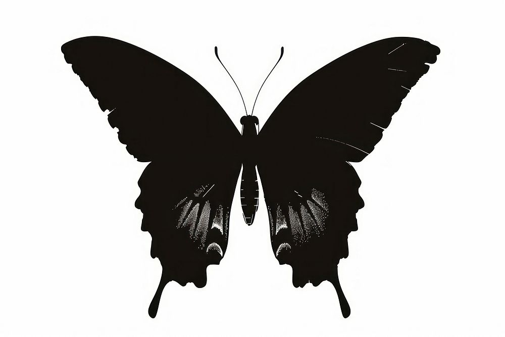 Black butterfly silhouette clip art insect animal white background.