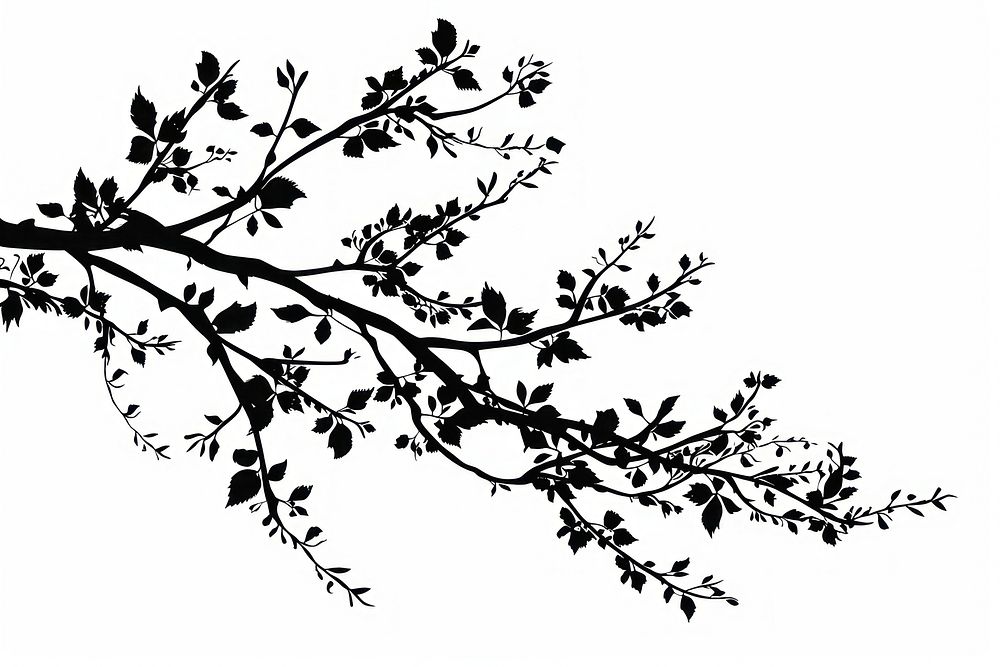 Branch frame silhouette art graphics pattern.