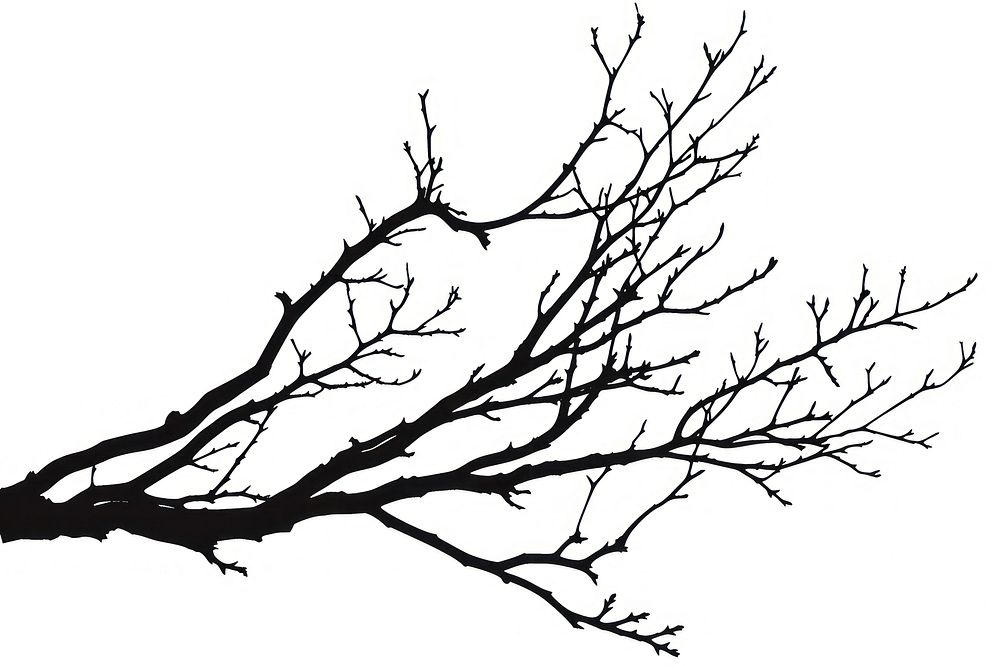 Branch frame silhouette art illustrated drawing.