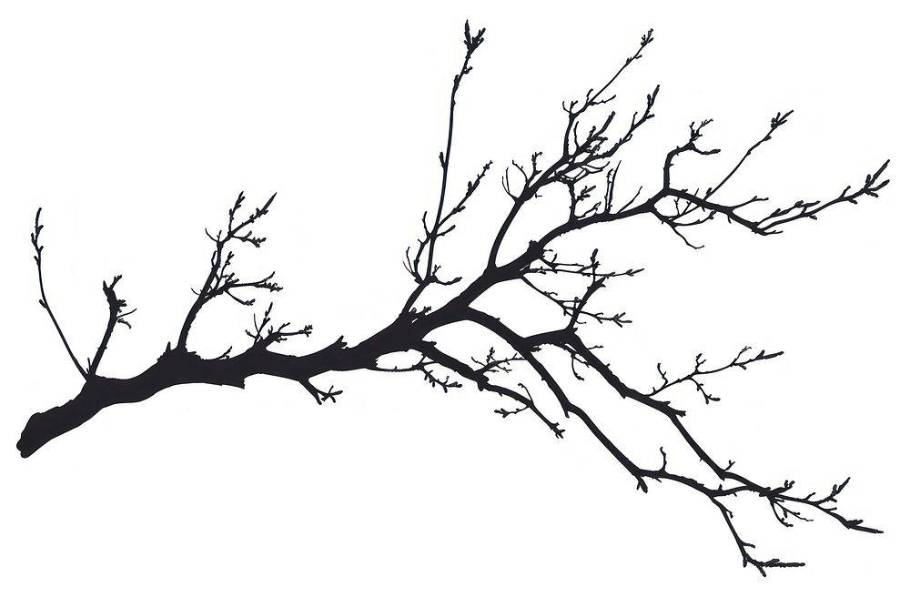 Branch silhouette clip art illustrated drawing sketch.