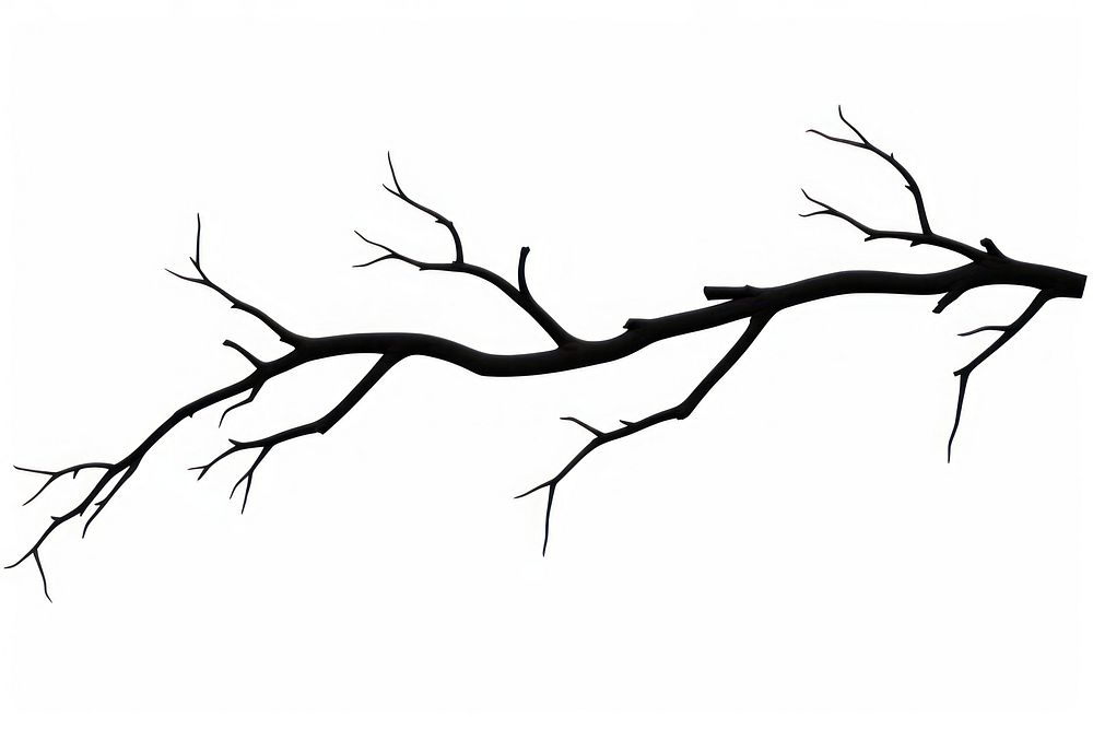 Dry tree branch silhouette art illustrated.