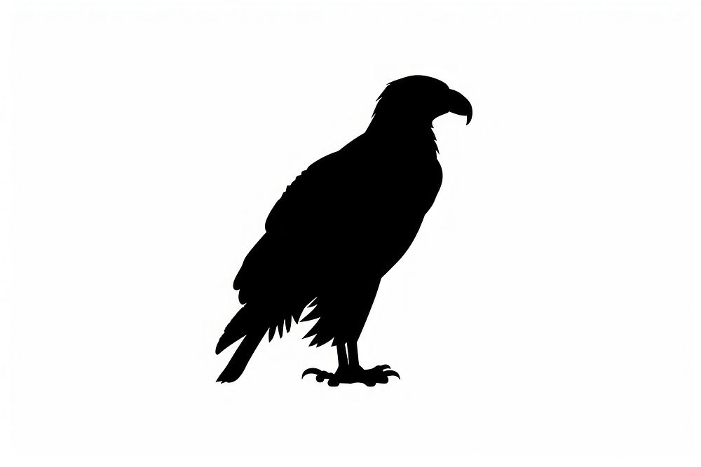 Eagle silhouette clip art vulture animal bird.