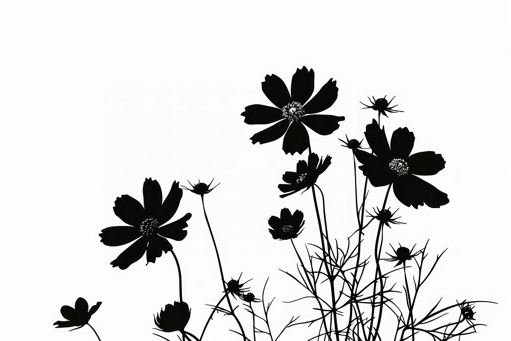 Flower silhouette clip art plant white monochrome.