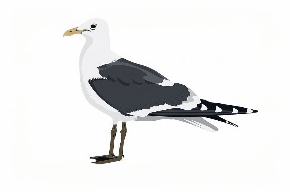 Seagull bird silhouette clip art animal beak white background.