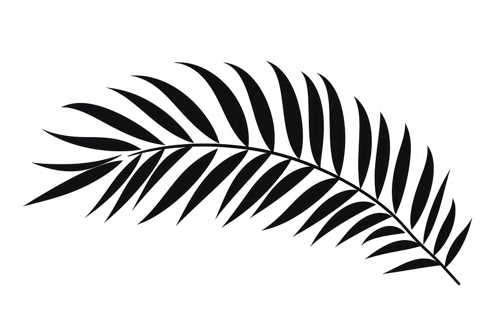 Palm tree leaf silhouette clip | Free Photo Illustration - rawpixel