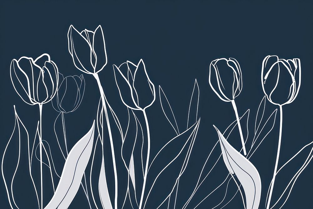 White tulips illustrated blackboard graphics.