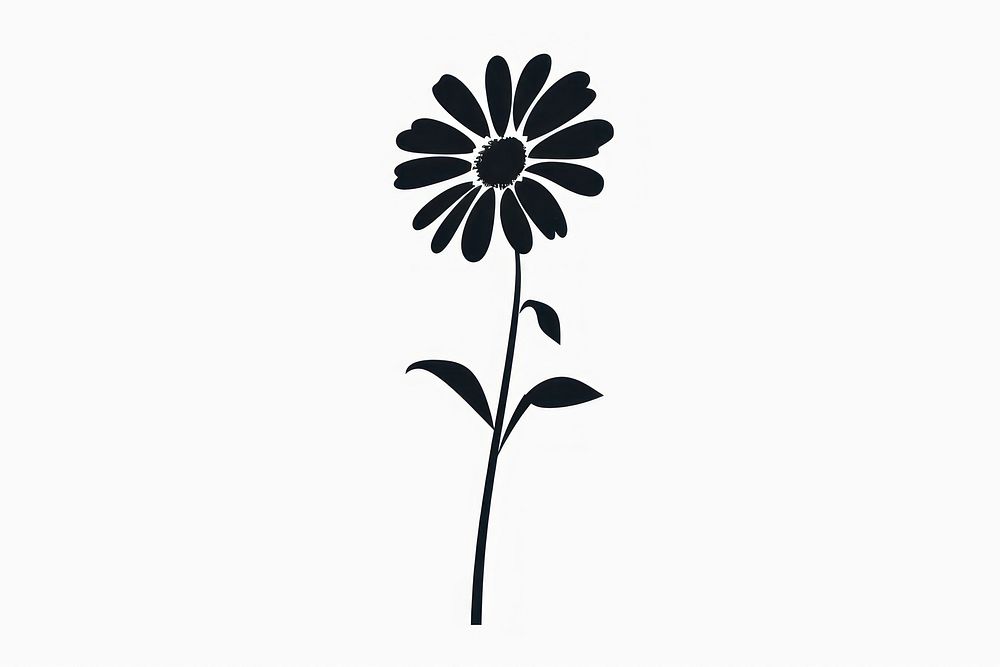 Daisy icon silhouette clip art asteraceae blossom stencil.