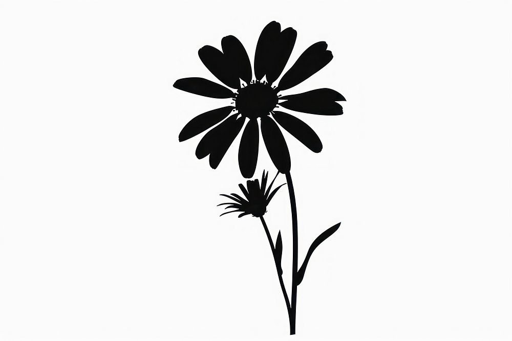 Daisy icon silhouette clip art asteraceae blossom stencil.