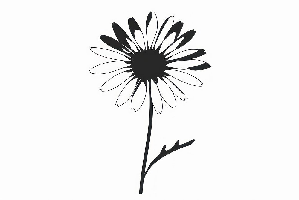 Daisy icon silhouette clip art asteraceae blossom flower.