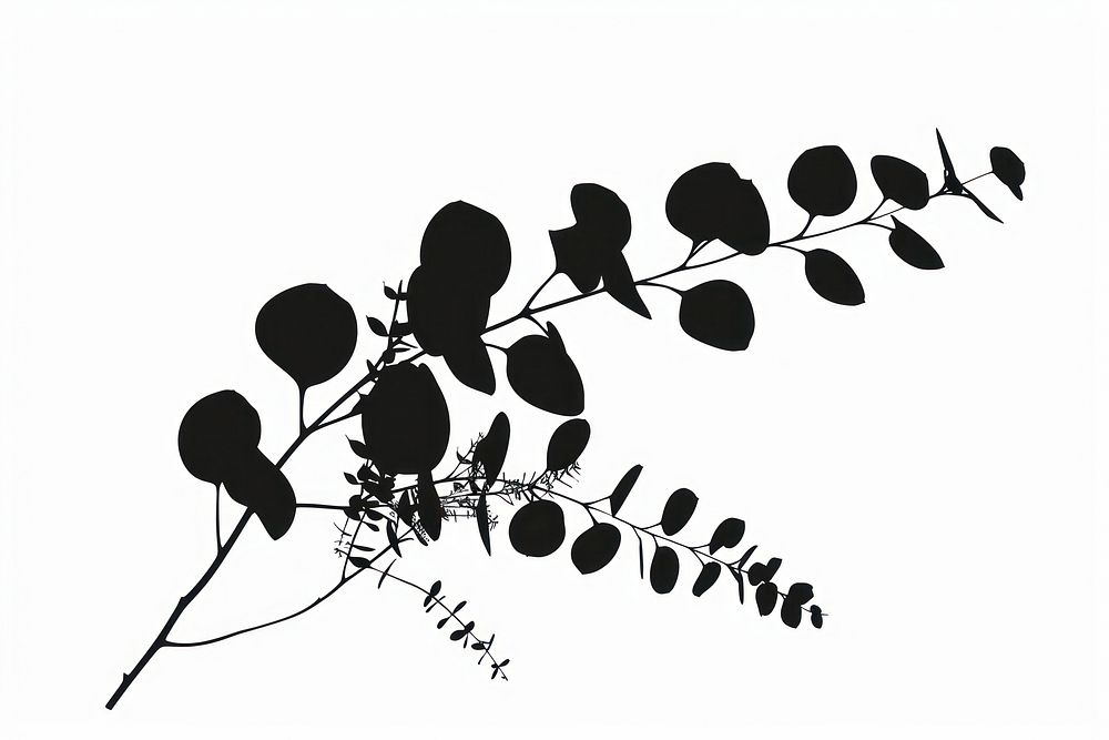 Eucalyptus icon silhouette clip art illustrated stencil drawing.