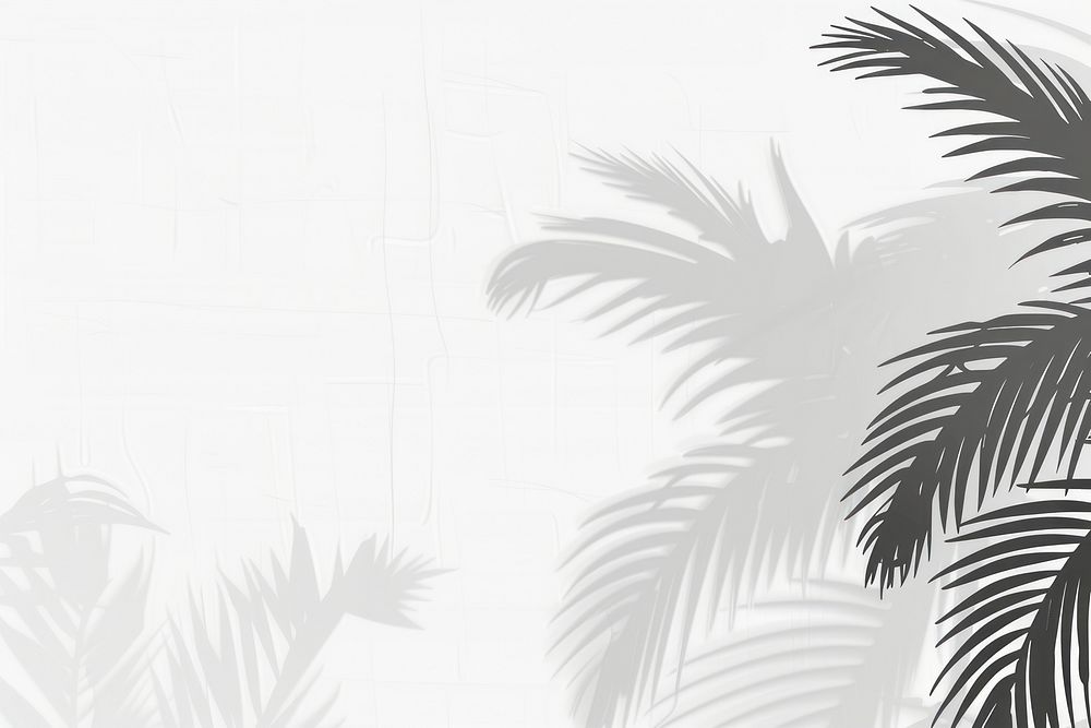 Tropical palm shadow white outdoors person.