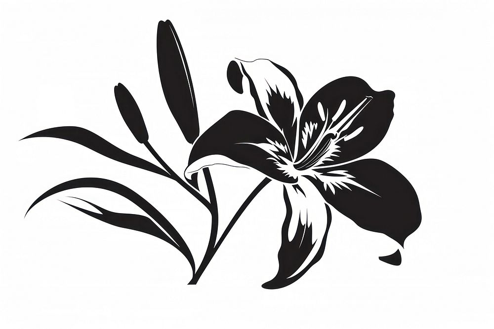 Lily silhouette clip art stencil blossom flower.