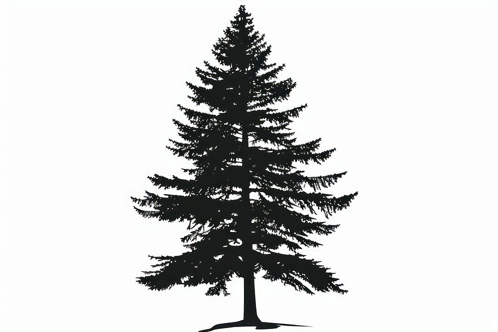 Pine tree silhouette clip art conifer plant abies.