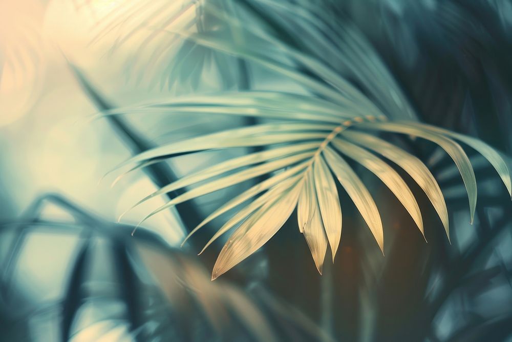 Tropical leaves vegetation outdoors graphics.