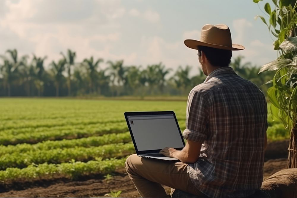 Thai farmers laptop field electronics.