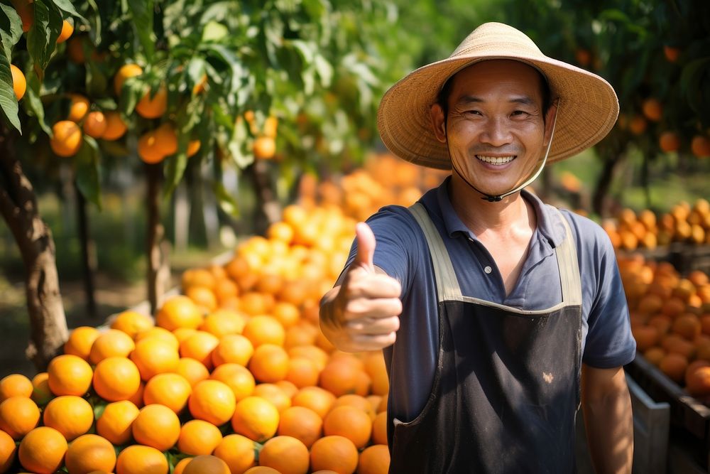 Thai farmer orange outdoors produce.