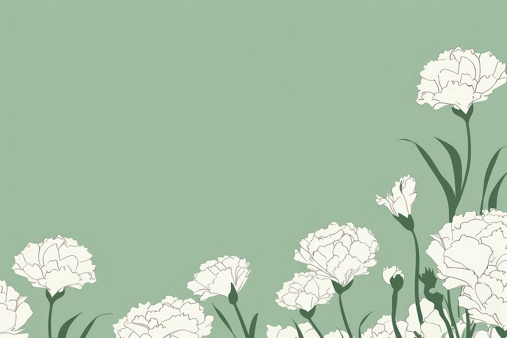 Stroke painting white Carnations carnation pattern illustrated.
