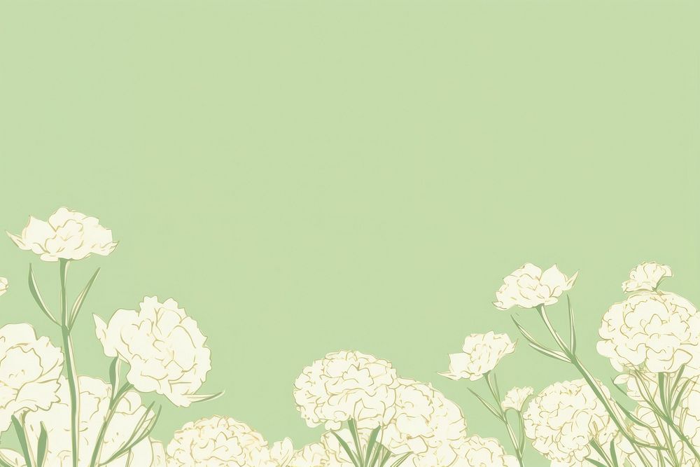Stroke painting white Carnations pattern green graphics.