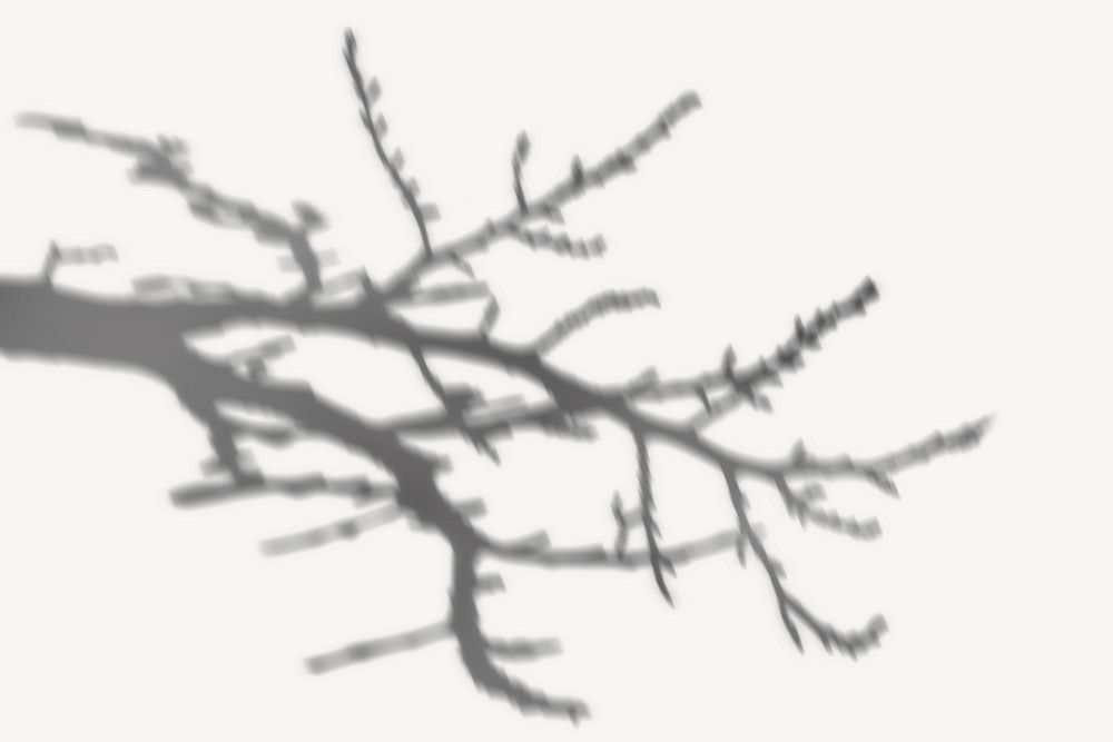 Tree branch shadow illustration