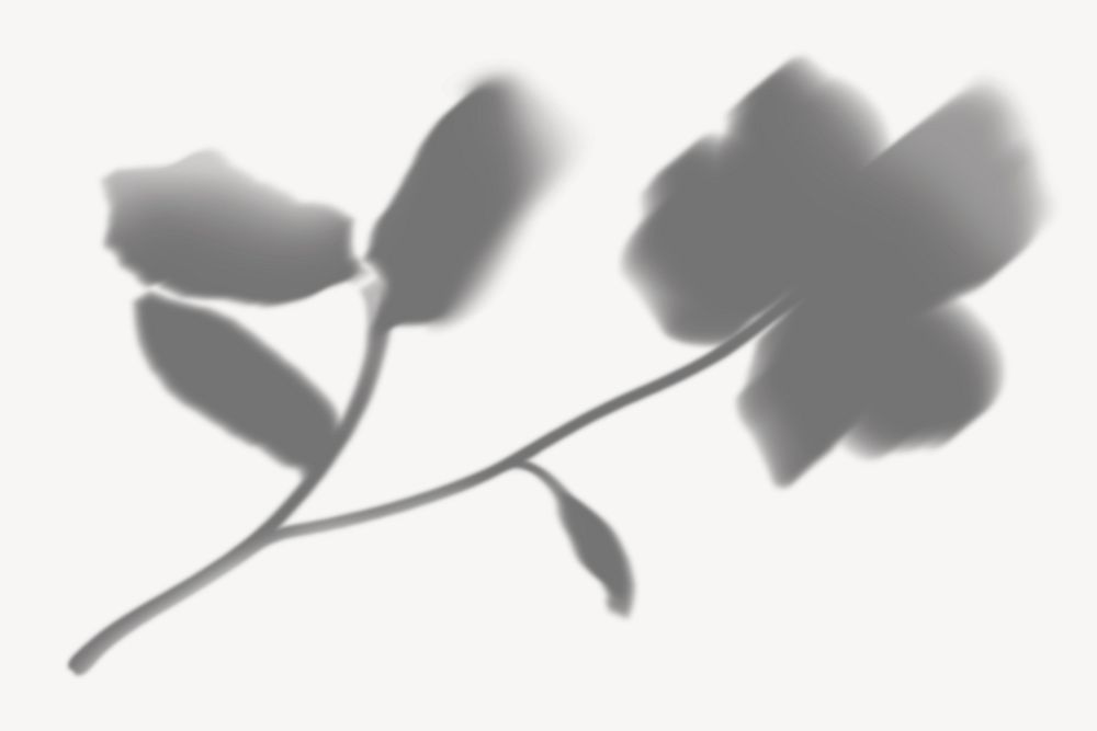 Flower shadow illustration | Free Photo - rawpixel