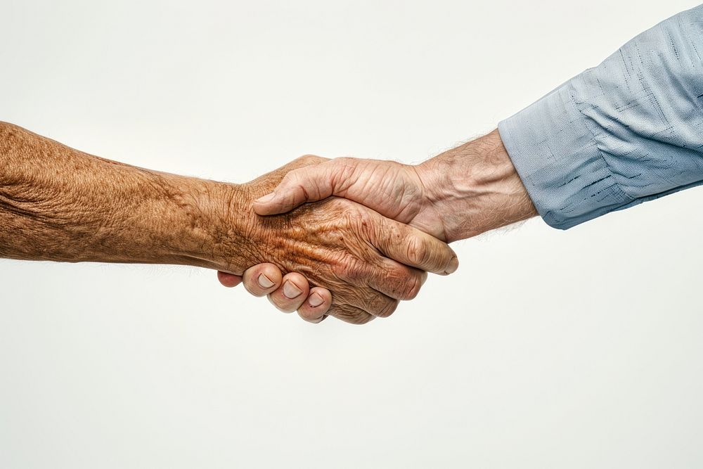 Senior man handshake human person adult.