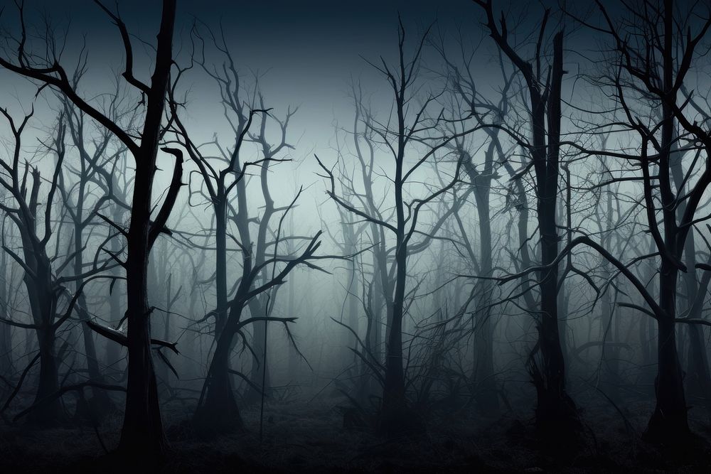Spooky forest tree vegetation outdoors.