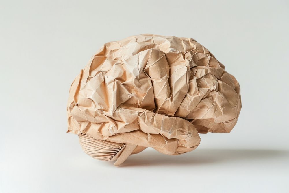 Brain in style of crumpled paper cardboard clothing.