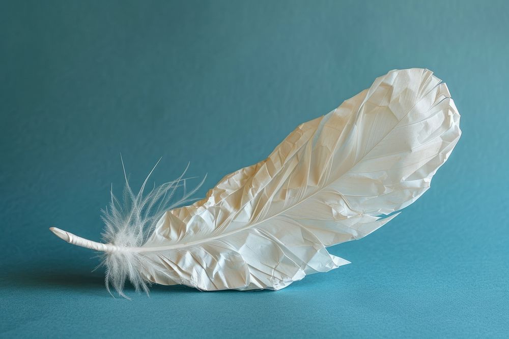 Feather in style of crumpled accessories accessory wedding.