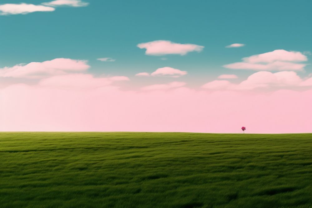 Photo of pink field landscape outdoors horizon.