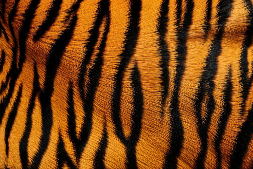 Top view photo of a tiger pattern clothing wildlife apparel.