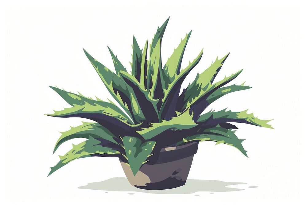Aloe vera flat illustration plant leaf potted plant.