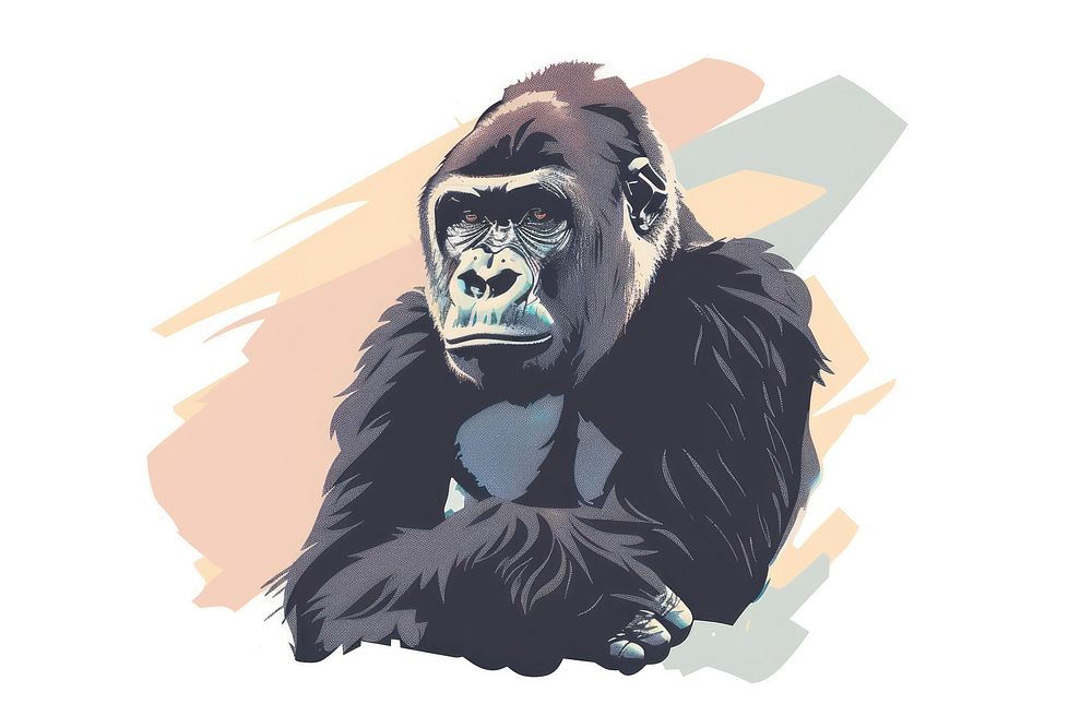 Lowland Gorilla flat illustration wildlife animal mammal.