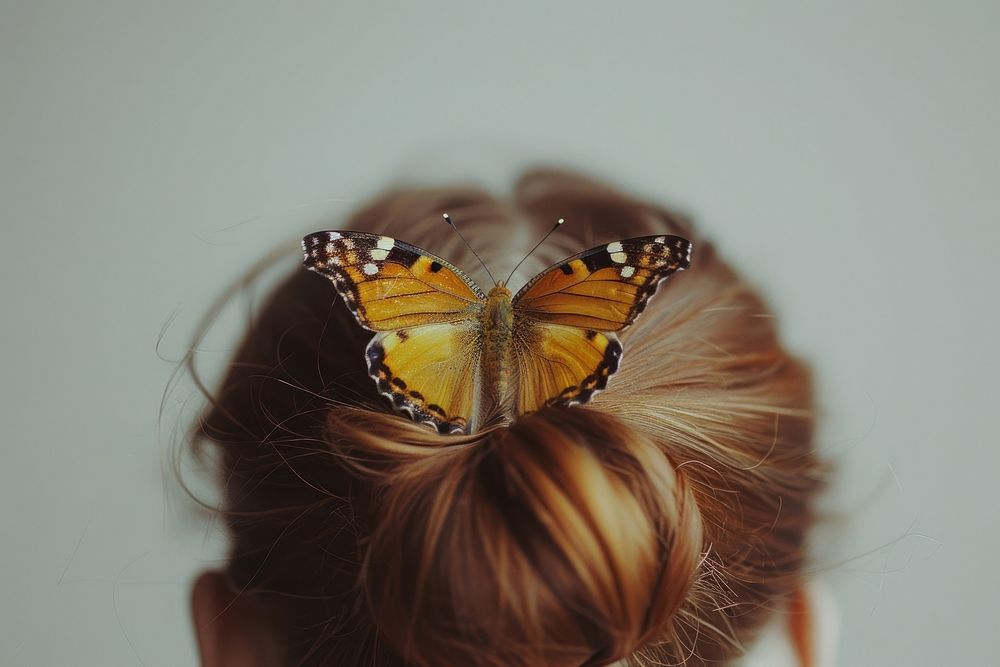 Butterfly hair invertebrate female.