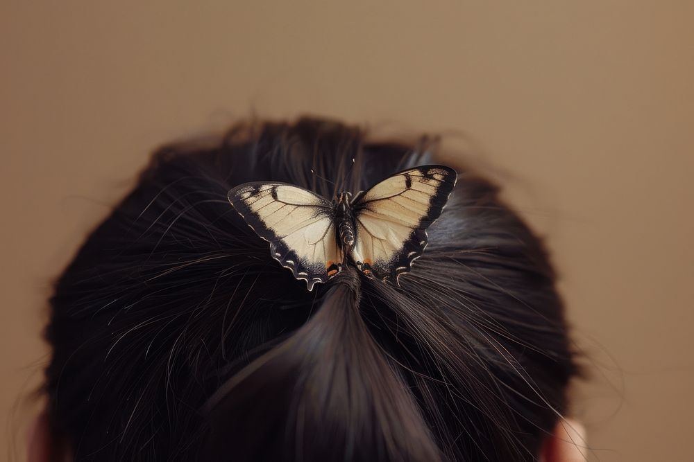 Butterfly hair invertebrate accessories.