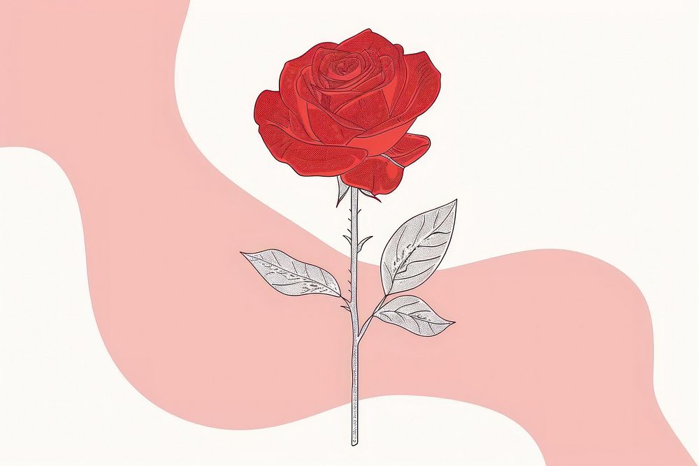 Red rose flat illustration art blossom flower.
