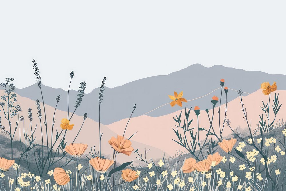 Wildflowers in Death Valley National Park art illustrated asteraceae.
