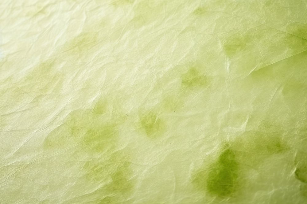 Green fibre mulberry paper backgrounds textured rough.