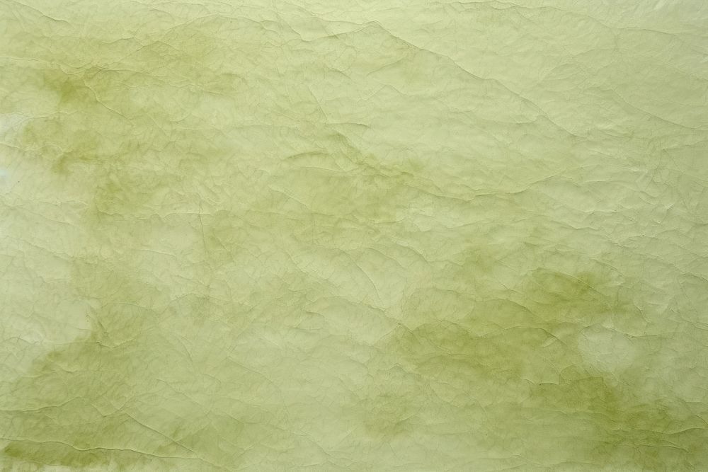 Green fibre mulberry paper backgrounds textured rough.