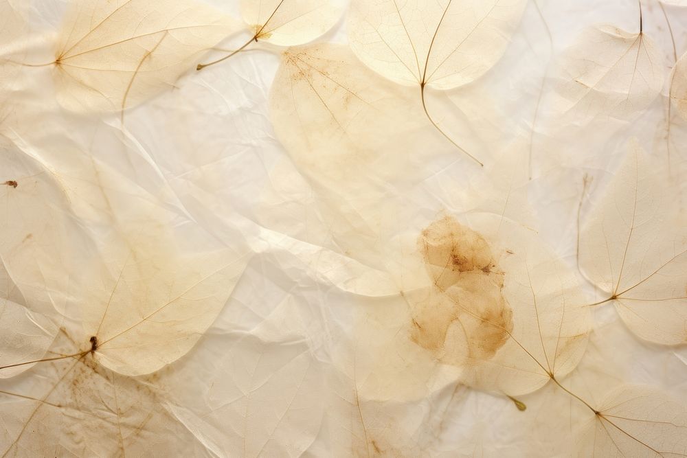 Mulberry paper backgrounds textured nature.