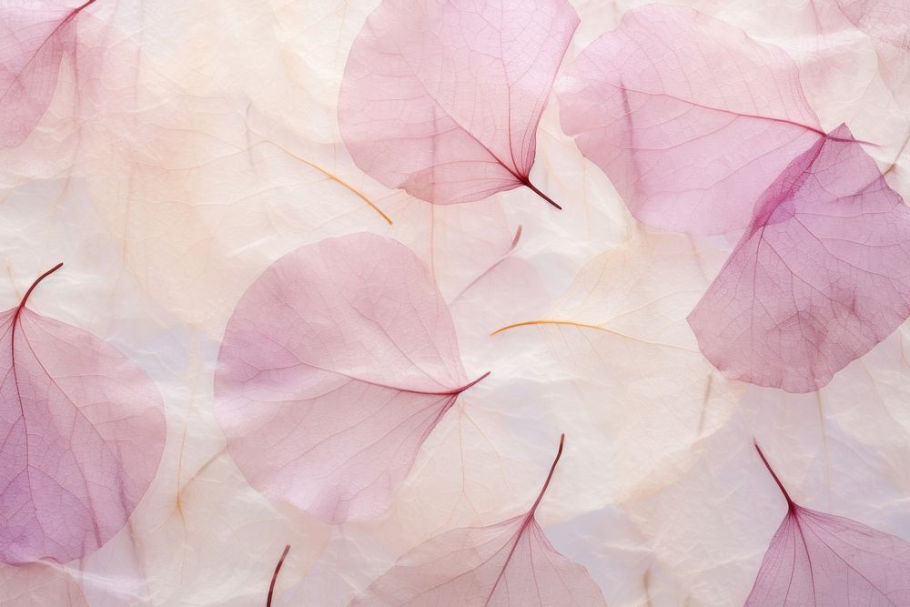 Mulberry paper petal backgrounds textured.