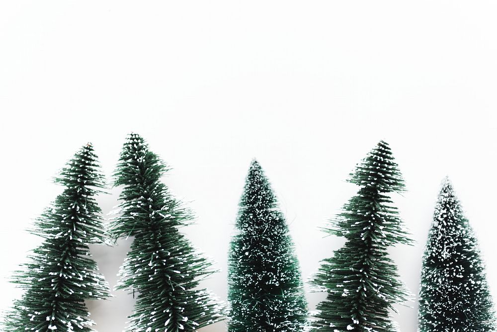 Miniature Christmas trees on a wooden surface. One tree is taller, both are green with a snowy effect. Simple holiday decor…