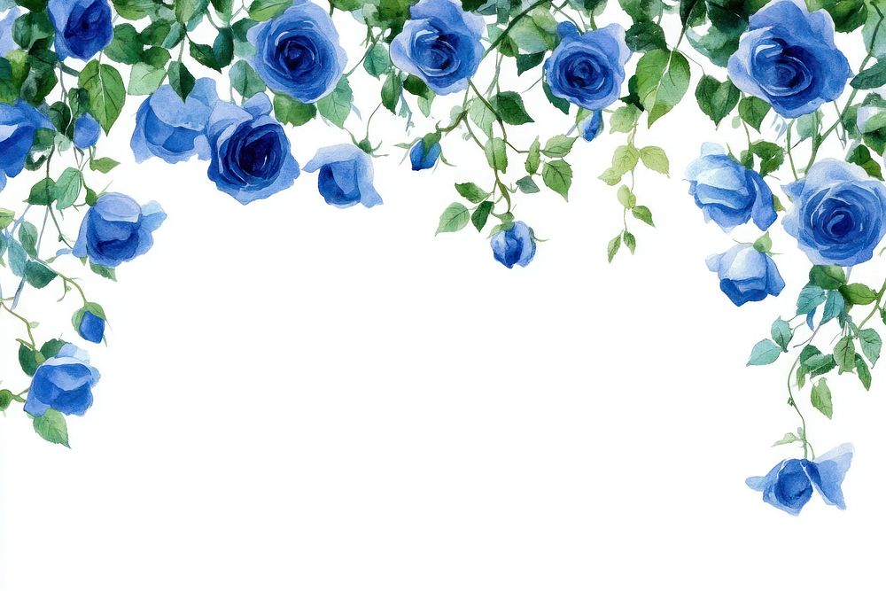 Hanging blue roses illustration watercolor flowers.