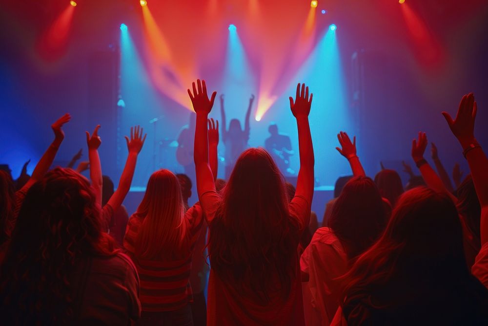 Audience at a concert lights music accessories.