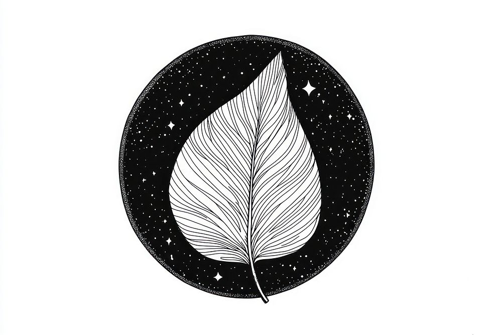 Leaf illustration background white.