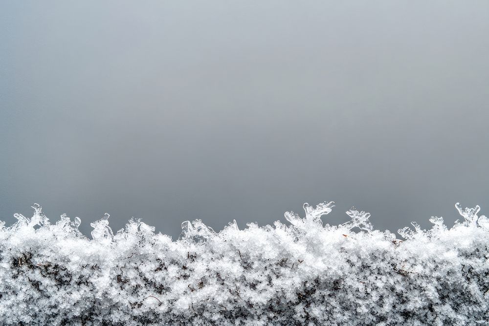 A snow border weather winter frost.