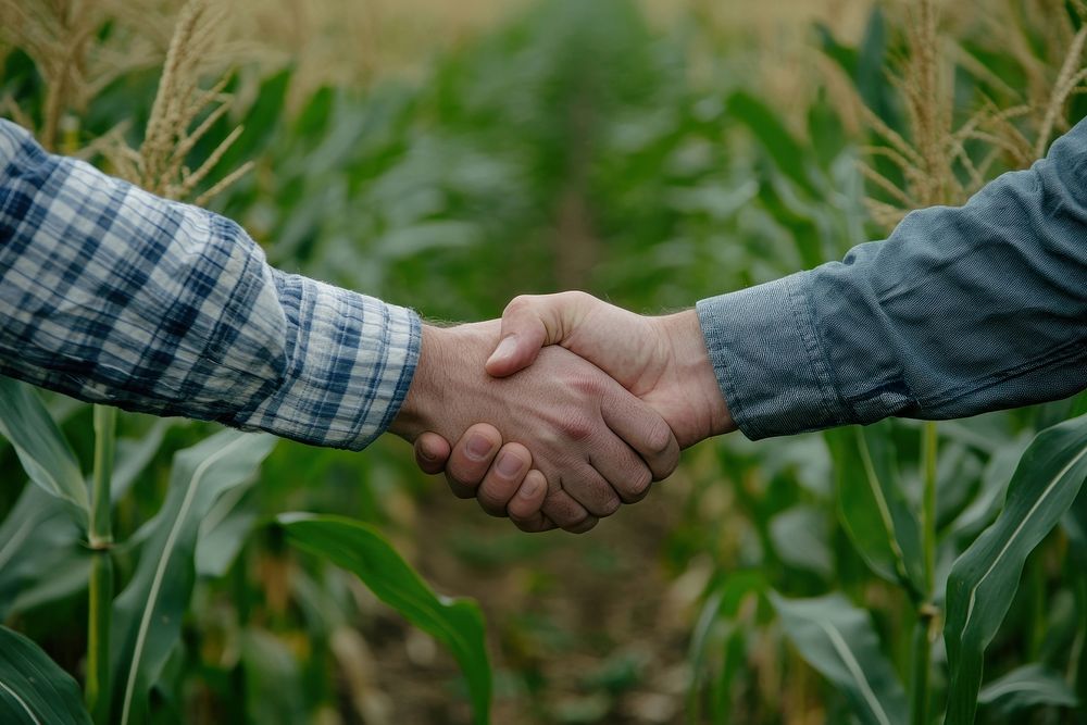 Two farmers shake hands collaboration agricultural partnership.