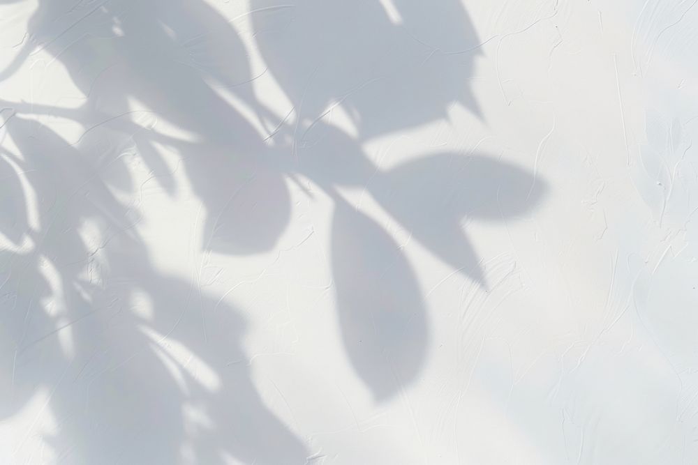 Shadow from plant white minimalist shadows.