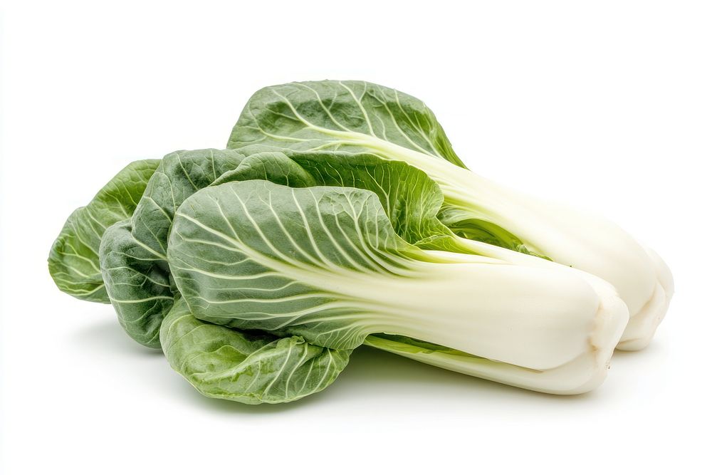 Bok choy vegetable fresh bok.