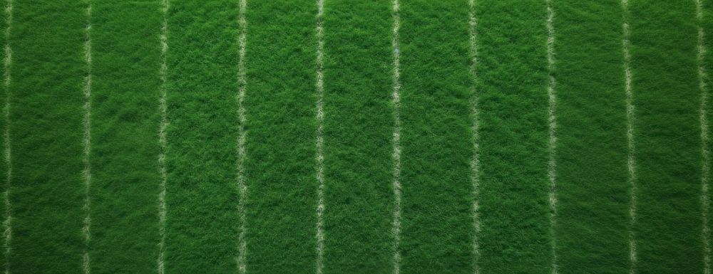 Green grass texture background green field pattern.