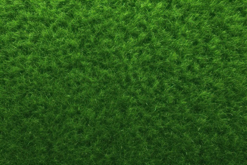 Green grass texture background green outdoors nature.